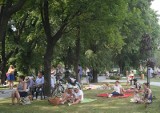 Piknik i koncert u Grohmana [zdjęcia]  