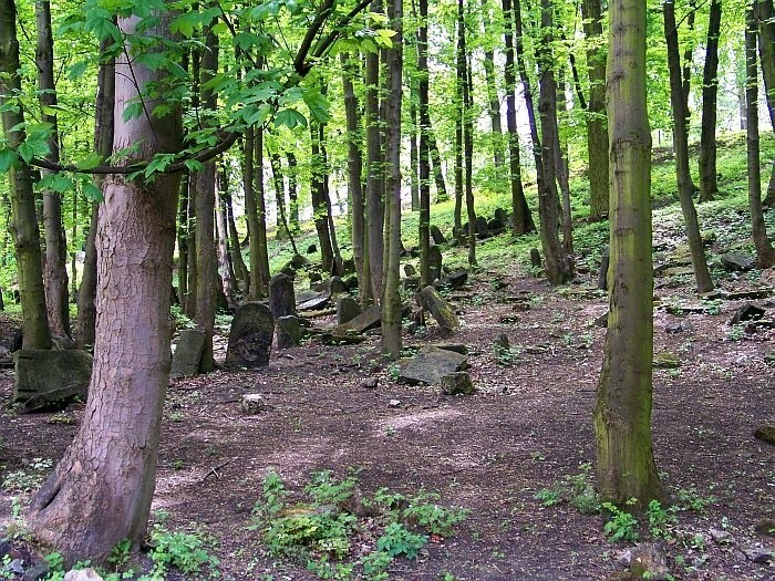 Tak wygląda cmentarz żydowski na Górze Zamkowej...