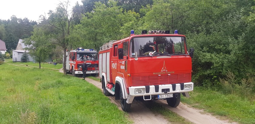 W niedzielę około godz 17 ruszyły poszukiwania zaginionego...