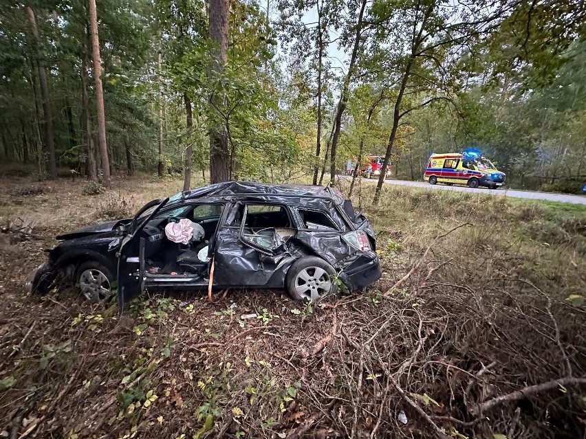 Samochód zderzył się z sarną na drodze w Michałowie w powiecie pińczowskim. Kierowca w szpitalu. Zobacz zdjęcia