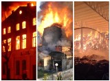 Wielkie i tragiczne pożary w Lubuskiem. Mówił o nich cały kraj. Niestety w niektórych ginęli ludzie