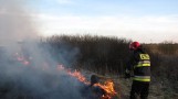 Duży pożar koło Szczecinka. Linia kolejowa zablokowana