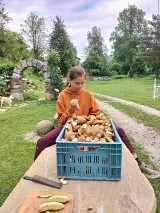 Wysyp grzybów w sądeckich i limanowskich lasach. Niektórym udało się też znaleźć grzyby-giganty! 