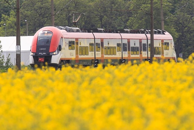 Dodatkowe pociągi do Poznania obsłużą podpoznańskie odcinki Poznańskiej Kolei Metropolitarnej.