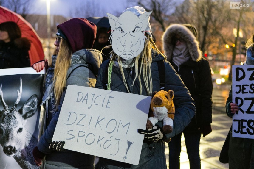 Szczecinianie protestują przeciw odstrzałowi dzików. "To barbarzyńskie rozporządzenie!" [ZDJĘCIA, WIDEO]