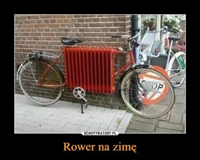 Sezon rowerowy ruszył wraz z poprawą pogody. Zobacz najlepsze MEMY o rowerzystach.