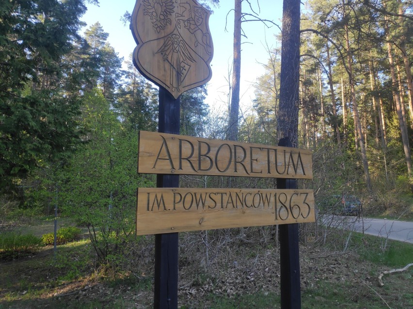 Arboretum w Kopnej Górze im. Powstańców 1863...