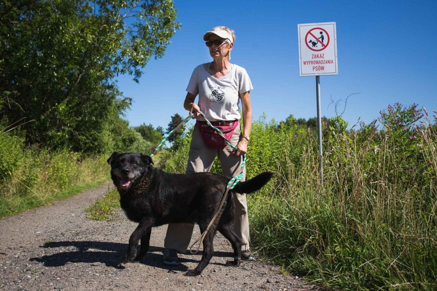 Znak stanął przy wjeździe na polną drogę, którą uczęszczają...