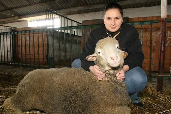 Agnieszka Kozłowska uwielbia zajmować się swoimi owcami i cieszy się, że jej stado uczestniczy w badaniach naukowych.