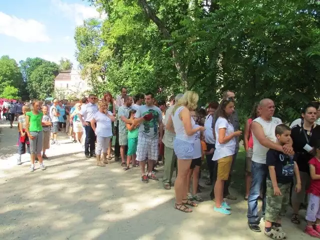 Oprócz labiryntu, na odwiedzających Zespół Pałacowy w Kurozwękach, czeka wiele atrakcji. Wielu jest chętnych, by z wozu "Safari Bizon&#8221; obejrzeć jedyne w Polsce stado bizonów amerykańskich.