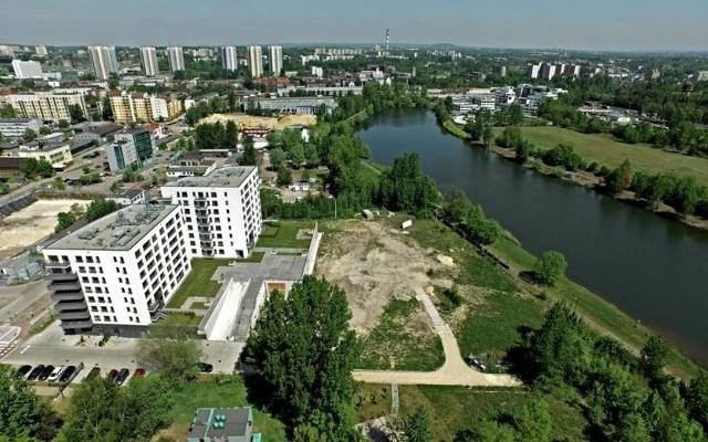 Dolina Trzech Stawów, Katowice