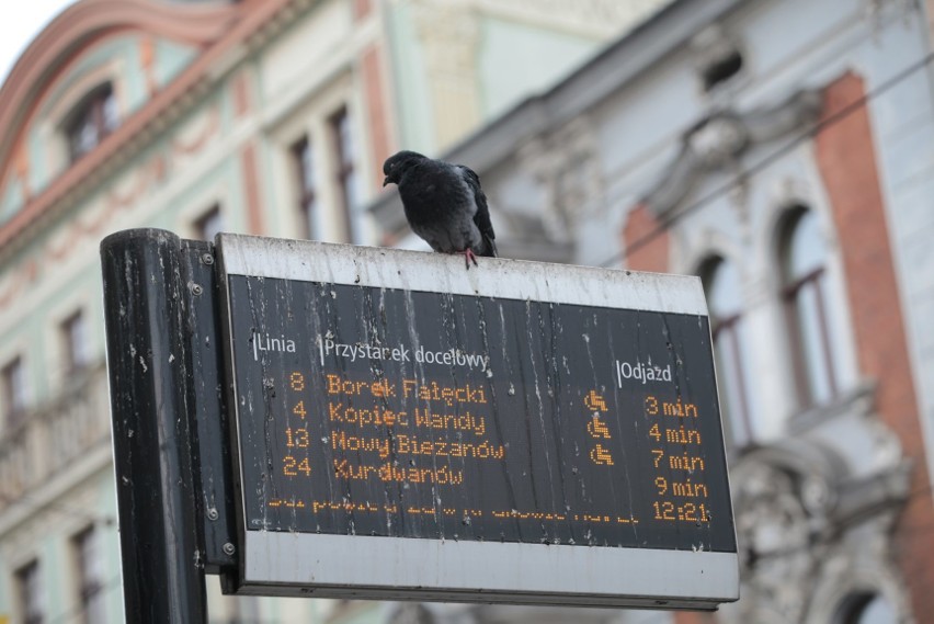 Tablica informacyjna przy przystanku "Teatr Bagatela"