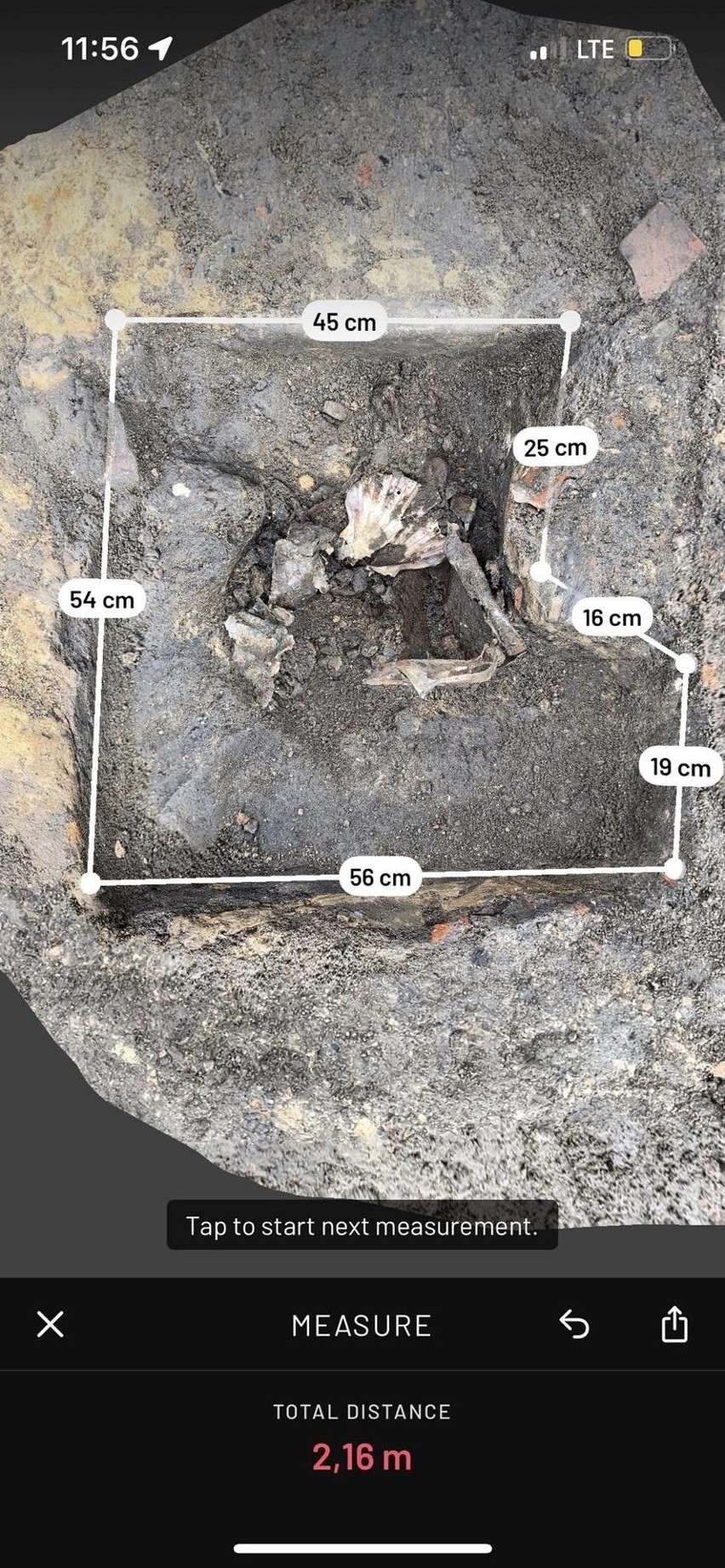 To archeologiczna perła. W Kamieniu Pomorskim znaleźli średniowieczną muszlę św. Jakuba [ZDJĘCIA]