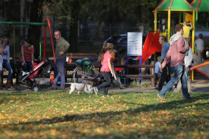 Pogoda w Wielkopolsce: Czeka nas kolejny piękny weekend