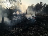 Pożar nad Zalewem Siemianówka. Strażacy nadal dogaszają zgliszcza 13 budynków, które spłonęły po pożarze łąk i lasu [ZDJĘCIA]