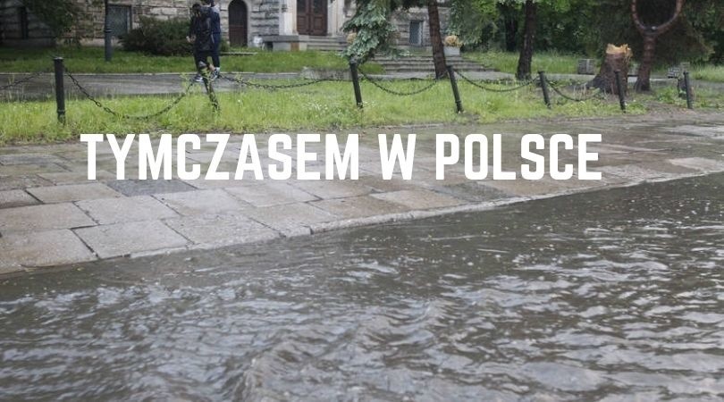 Ładną mamy jesień tej wiosny... Zobacz najlepsze memy o tym, co dzieje się za oknem 