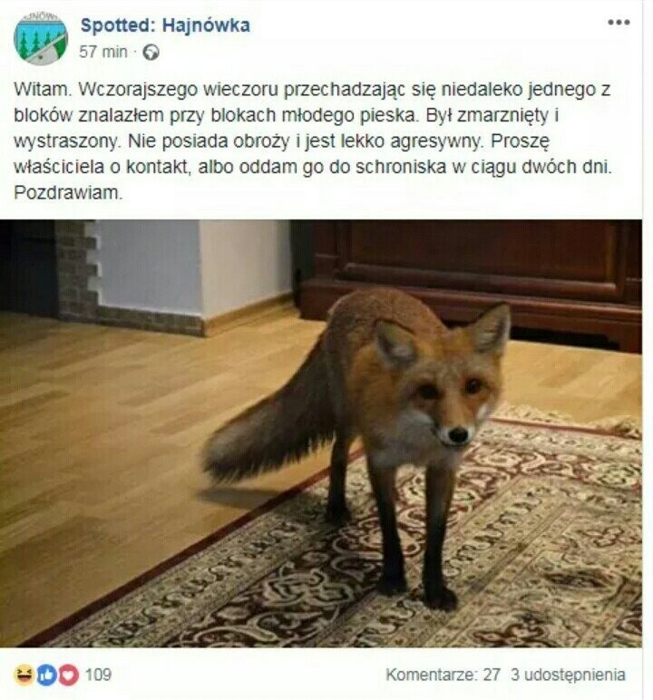 Sylwester na Podlasiu do gratka nawet dla gwiazd światowej...