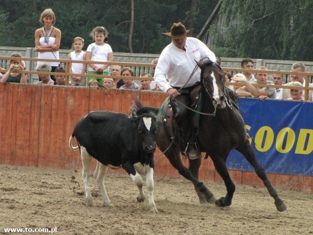 Gospodarz zawodów Zbigniew Kempisty i jego Mr Dual Lancer wygrali konkurencję Cattle Penning, czyli oddzielenie cielaka od stada i zapędzenie go do zagrody.