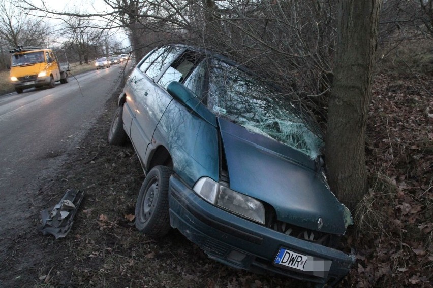 Wypadł z drogi i uderzył w drzewo. Miał dużo szczęścia