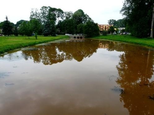 Woda w jeziorku w parku miejskim przy Górze Zamkowej w Bielsku Podlaskim została bardzo zanieczyszczona