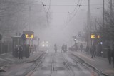 Kolejny dzień z bardzo słabym stanem powietrza w Poznaniu. Po raz kolejny odnotowano wysokie stężenie pyłu zawieszonego PM10 w mieście