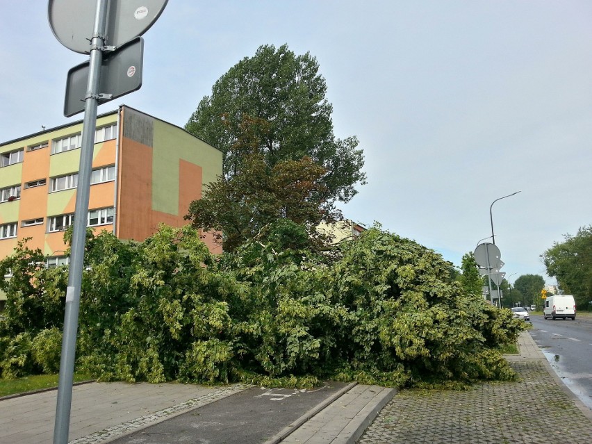 Burza w Łodzi. Nawałnica nad Łodzią. Powalone drzewa, gałęzie na drogach, zalane ulice [ZDJĘCIA]