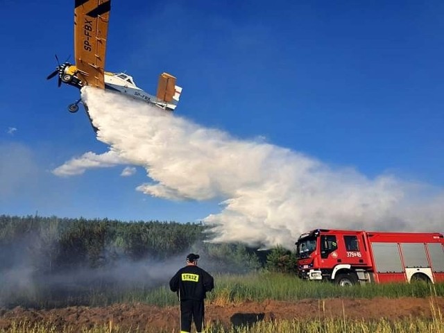Dzięki użyciu samolotów gaśniczych i ciężkiego sprzętu pożar ugaszono w ciągu półtorej godziny.WIDEO: Zielona Góra Nowy Kisielin. Pożar lasu