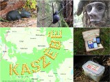 Geocaching na Pomorzu: 162 skarby do odnalezienia w kaszubskich lasach [ZDJĘCIA, MAPA]