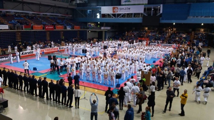 Kieleccy karatecy na podium w Rzeszowie