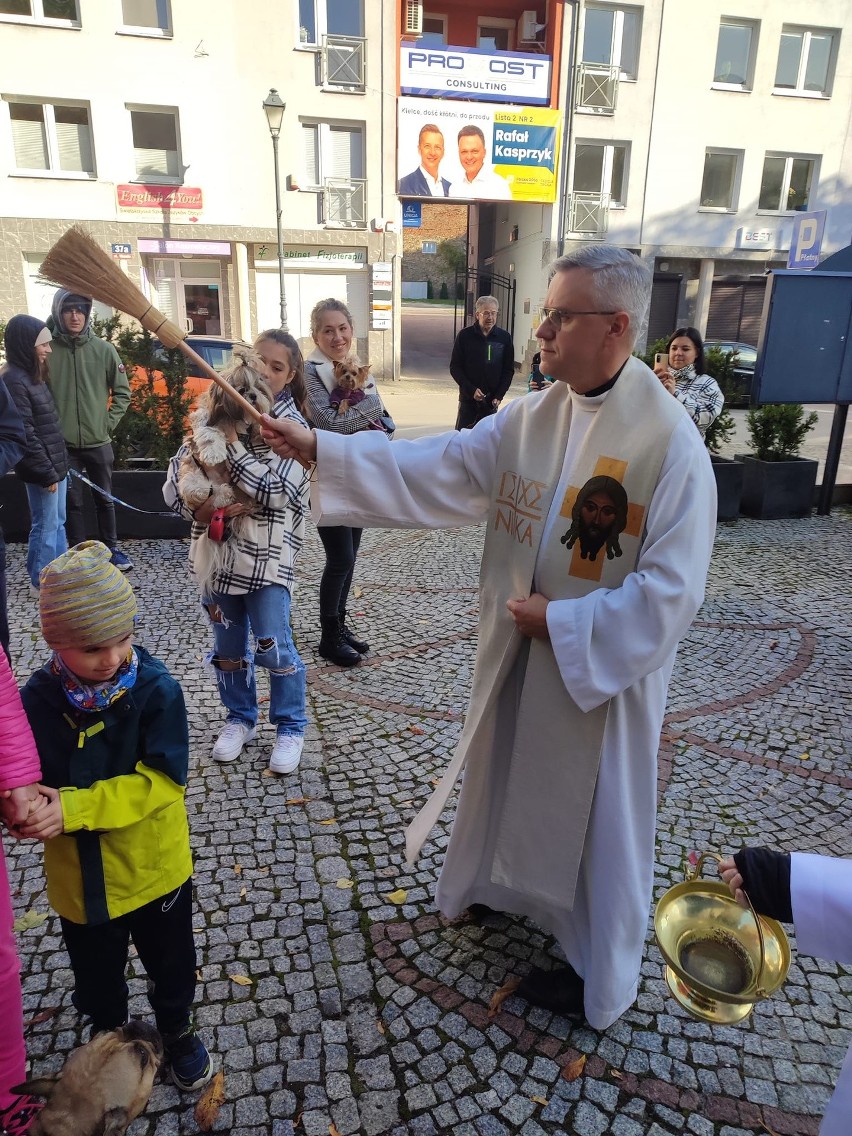 Psy, koty i inne zwierzęta w Kielcach pobłogosławione z okazji Dnia Świętego Franciszka z Asyżu 