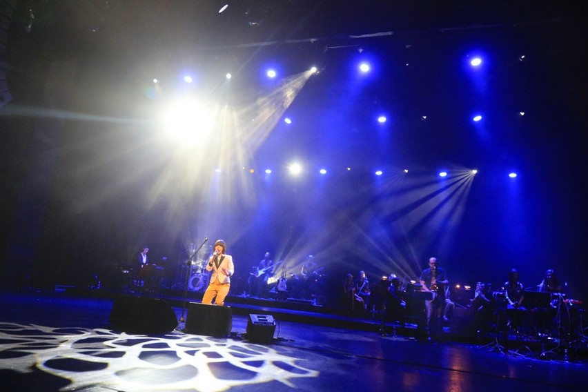 "Tribute to David Bowie" w sali koncertowej na Jordankach