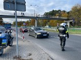 Policyjna akcja „Wszystkich Świętych” na drogach pow. bydgoskiego. Tylu było pijanych kierowców