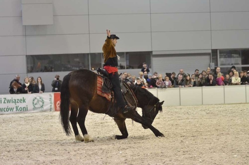 Cavaliada na MTP: Pokaz jazdy westernowej w wykonaniu...