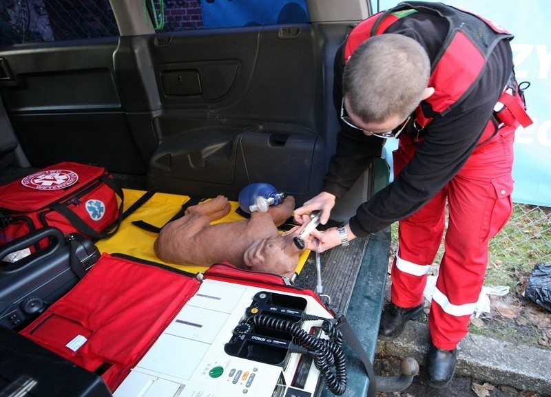 Ambulans dla zwierząt w Szczecinie