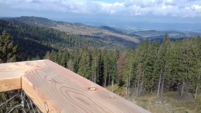 Tatry. Ścieżka w koronach drzew przyciąga tłumy