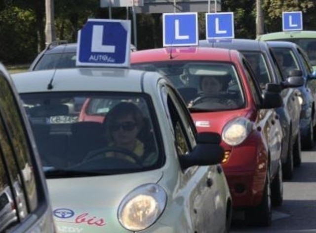 Kłopot ma nie tylko Toruń, bo większość z 49 WORD-ów w całym kraju zakupiło system ITS. WORD w Gdańsku proponuje swoim klientom, by jechali na egzaminy np. do Bydgoszczy