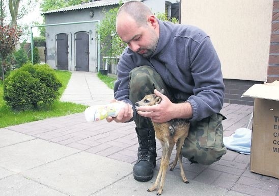 Do pogotowia dla dzikich zwierząt w Wielgowie trafiają ranne i porzucone zwierzęta.