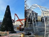 Kielecki Rynek w świątecznej odsłonie. Choinka już gotowa, stawiają kolejne ozdoby [ZDJĘCIA]