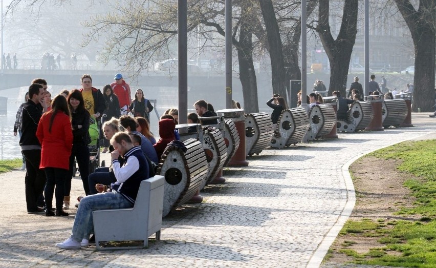 Wrocławianie na Wyspie Słodowej. Wiosenna pogoda zachęca [GALERIA]