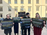 Aktywiści domagają się likwidacji spółki Kraków 5020. Wyrok odroczony, radni miejscy nie zajęli się obywatelskim projektem uchwały