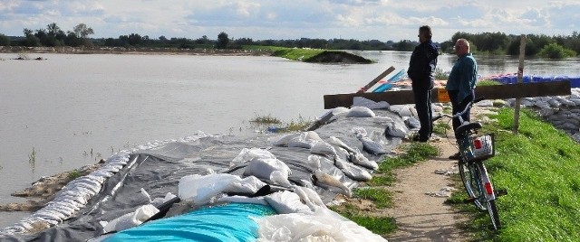 Sandomierzanie przychodzą na wał w Koćmierzowie. Obawiają się, że opaska może nie wytrzymać.  