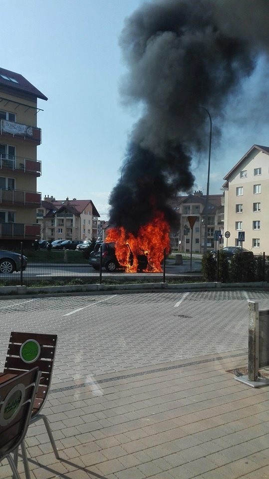 W pożarze na osiedlu Przybyszówka w Rzeszowie spłonął...