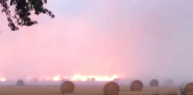 Pożar w Bojkowie przy autostradzie