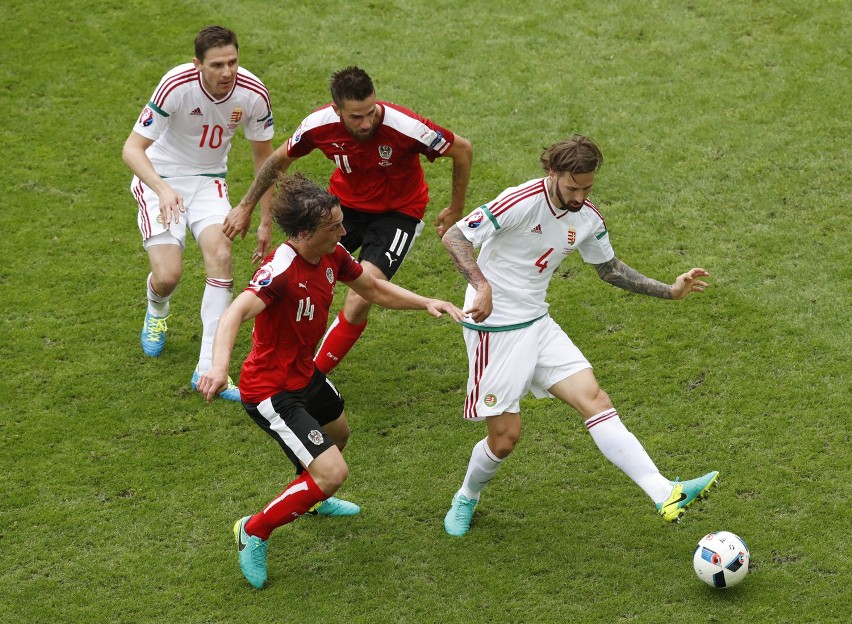 Euro 2016: Tamas Kadar zadebiutował na mistrzostwach. Węgry...