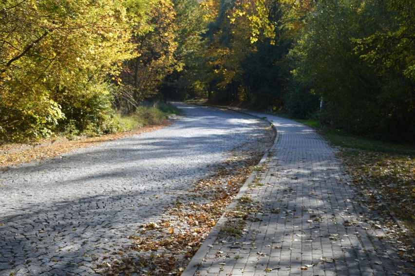 Tarnów. Góra św. Marcina idealnym miejscem na jesienny spacer [ZDJĘCIA]