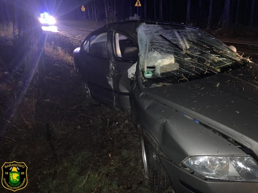 Wypadek w Czarnotrzewiu. Pijany kierowca wypadł z drogi i uderzył w drzewo. 20.02.2022. Zdjęcia