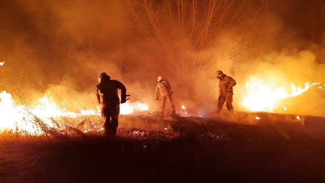 W czwartek chwilę przed północą strażacy z OSP Stubno i OSP Niziny wyjechali do pożaru suchej trawy na nieużytkach w Chałupkach Dusowskich. Zobaczcie zdjęcia!