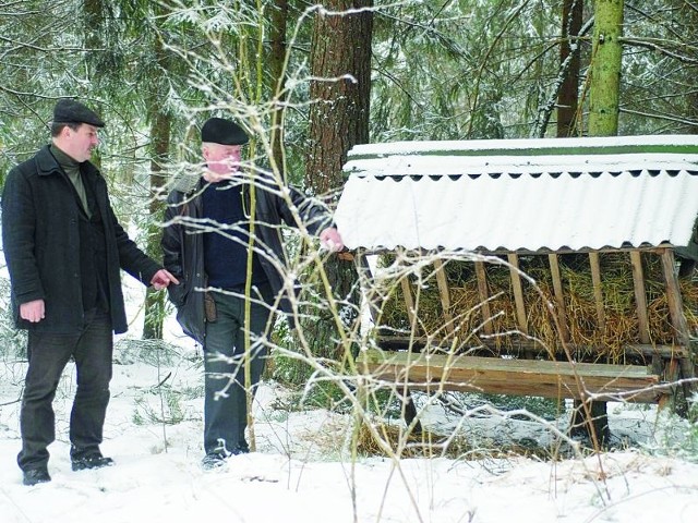 Członkowie Polskiego Związku Łowieckiego na Suwalszczyźnie i Mazurach od początku zimy stale dokarmiają zwierzynę. Jeden z paśników w Puszczy Augustowskiej.