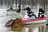 IMGW wydało ostrzeżenie III stopnia dla mieszkańców Wrocławia i okolic. Poziom wody w Widawie przekroczył stan alarmowy