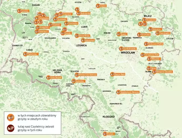 GRZYBY 2013 - Mapa grzybowa - Dolny Śląsk 2012/2013